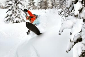 Hotel Plan Bois - Outdoor